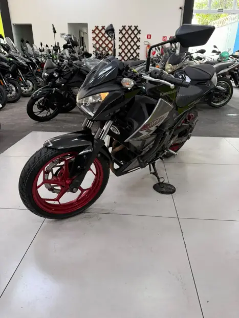 KAWASAKI Z 300 ABS, Foto 6