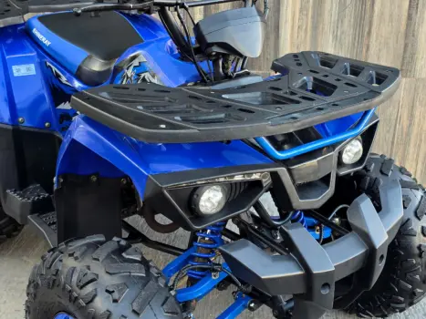 SHINERAY ATV 125 EFI , Foto 2