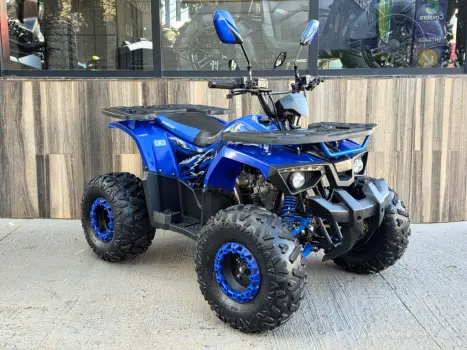 SHINERAY ATV 125 EFI , Foto 13
