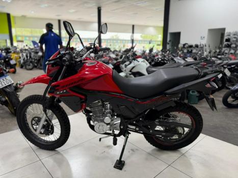 SHINERAY SHI 175 , Foto 13