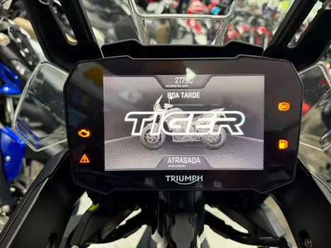 TRIUMPH Tiger 900 , Foto 17