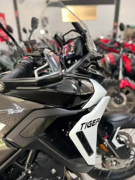 TRIUMPH Tiger 900 , Foto 4