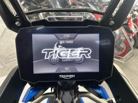 TRIUMPH Tiger 900 GT Pro , Foto 6