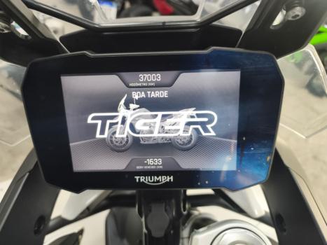 TRIUMPH Tiger 900 GT , Foto 12