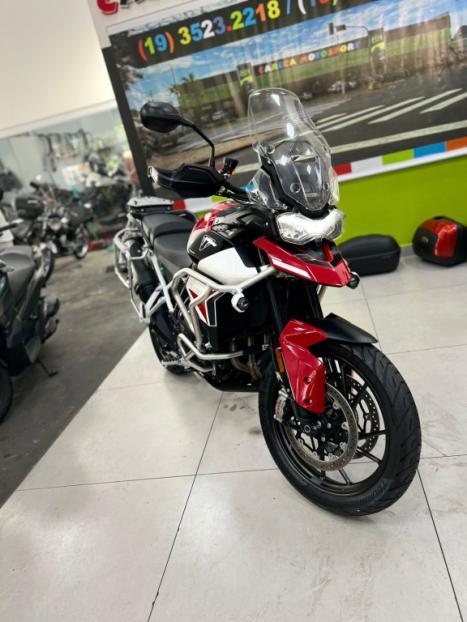 TRIUMPH Tiger 900 GT Pro , Foto 12