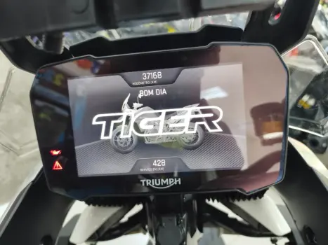 TRIUMPH Tiger 900 RALLY PR, Foto 12