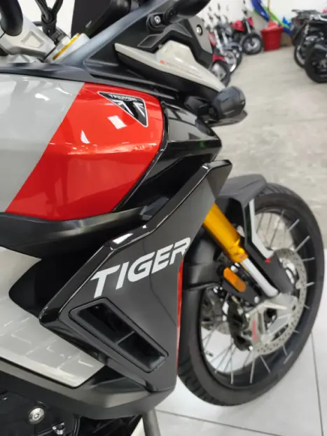 TRIUMPH Tiger 900 RALLY PR�, Foto 8