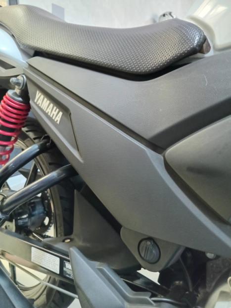 YAMAHA Fazer YS 150 SED, Foto 7 YAMAHA Fazer YS 150 SED, Foto 7