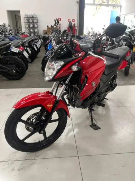 YAMAHA Fazer YS 150 SED, Foto 5