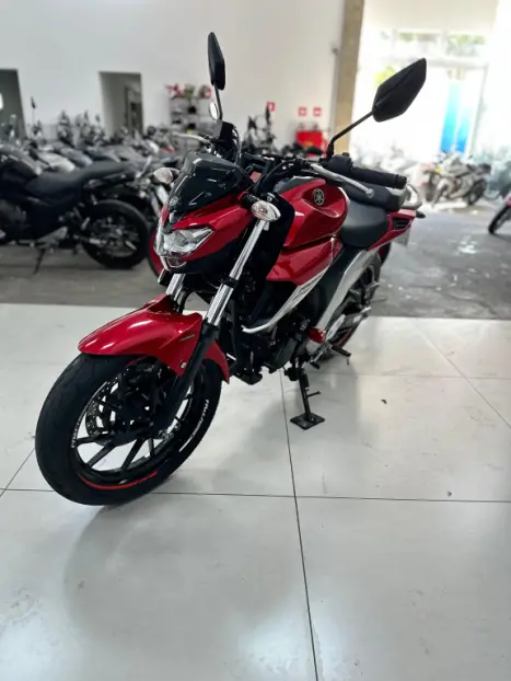 YAMAHA FZ 25 250 Fazer Flex , Foto 2