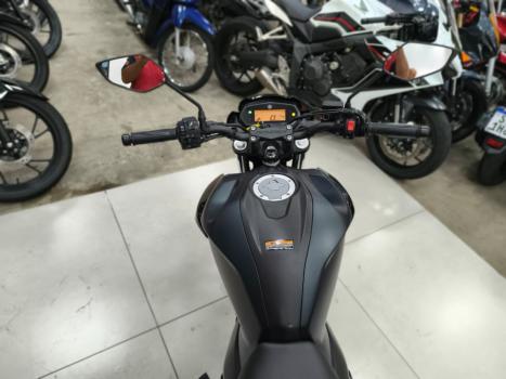 YAMAHA FZ 25 250 Fazer Flex , Foto 5