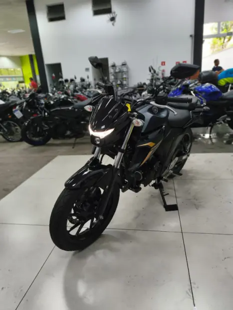 YAMAHA FZ 25 250 Fazer Flex , Foto 6