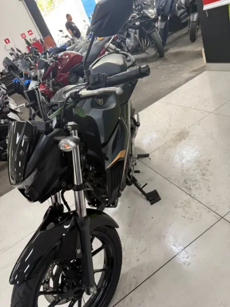 YAMAHA FZ 25 250 Fazer Flex , Foto 4