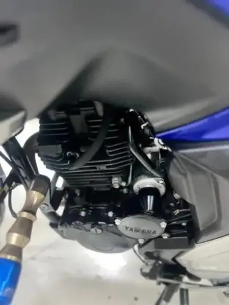 YAMAHA FZ 25 250 Fazer Flex , Foto 2