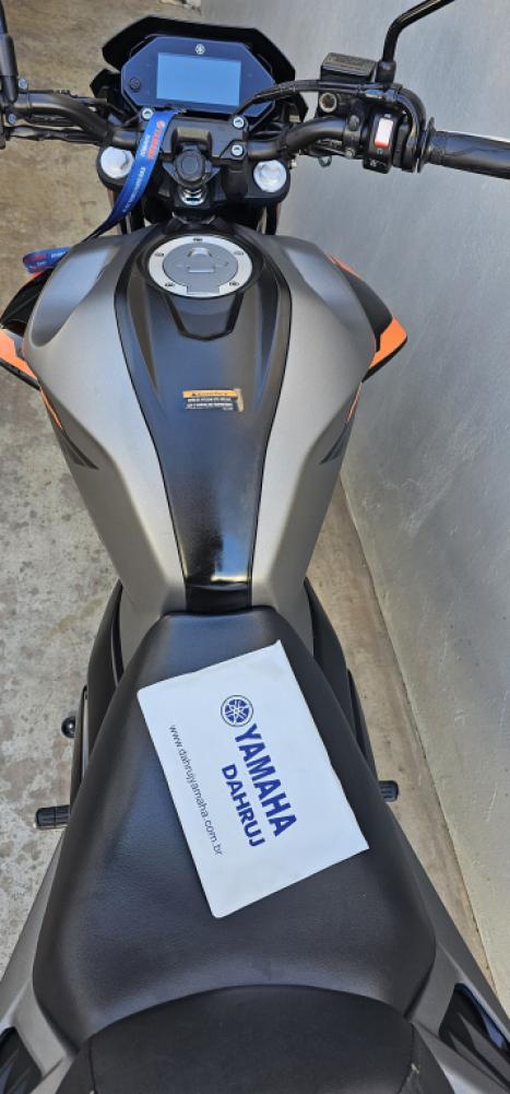 YAMAHA FZ 25 250 Fazer Flex , Foto 3