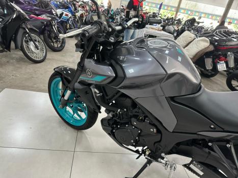 YAMAHA MT-03 300 ABS, Foto 12