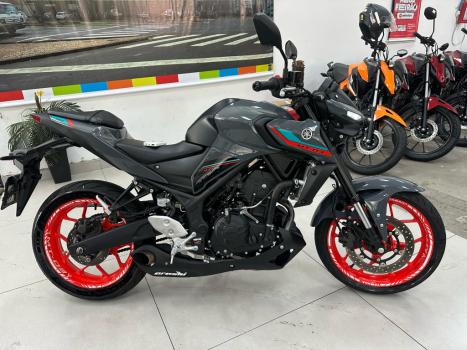 YAMAHA MT-03 300 ABS, Foto 1