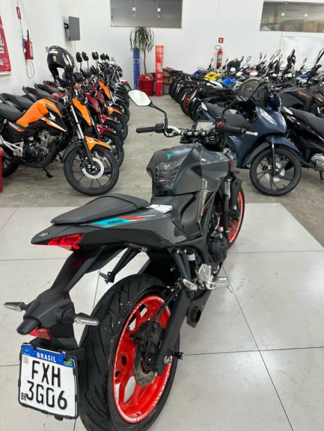 YAMAHA MT-03 300 ABS, Foto 5