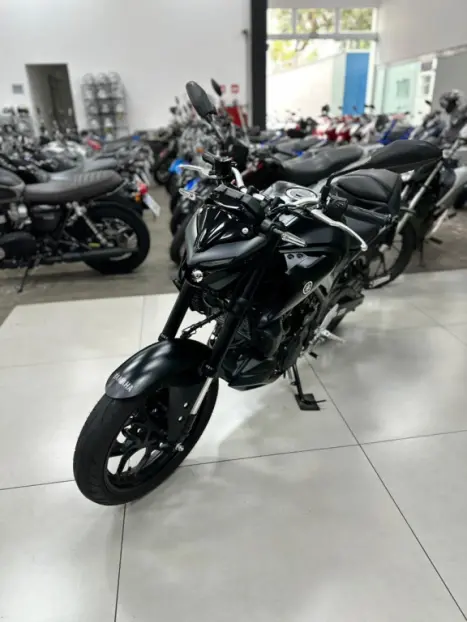 YAMAHA MT-03 300 ABS, Foto 9