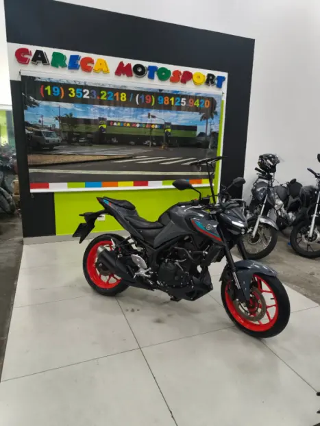 YAMAHA MT-03 300 ABS, Foto 1