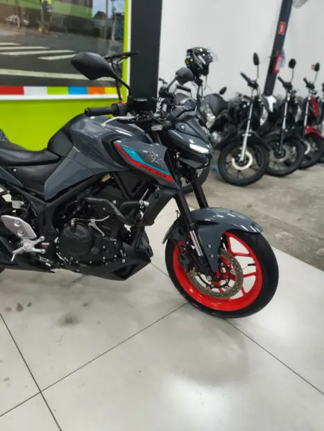 YAMAHA MT-03 300 ABS, Foto 3