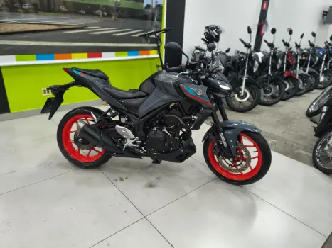 YAMAHA MT-03 300 ABS, Foto 4
