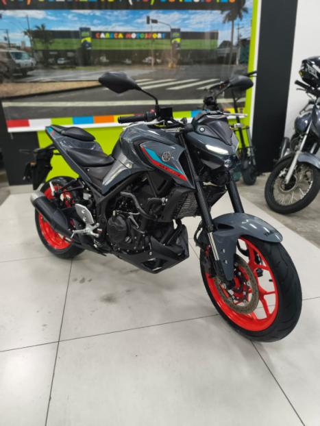 YAMAHA MT-03 300 ABS, Foto 5