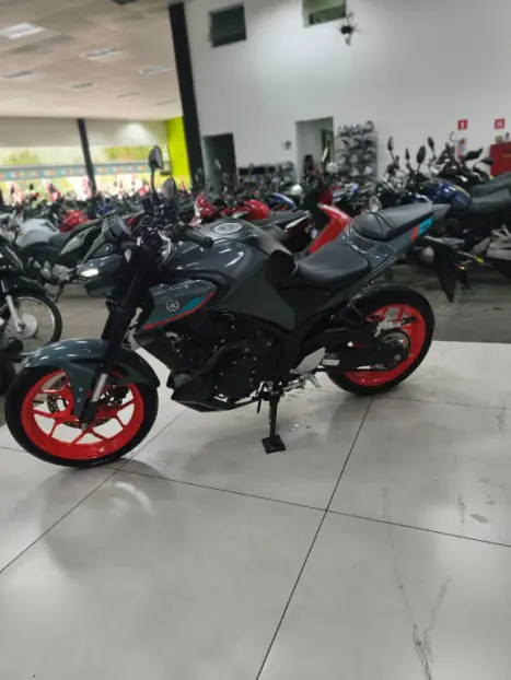 YAMAHA MT-03 300 ABS, Foto 6