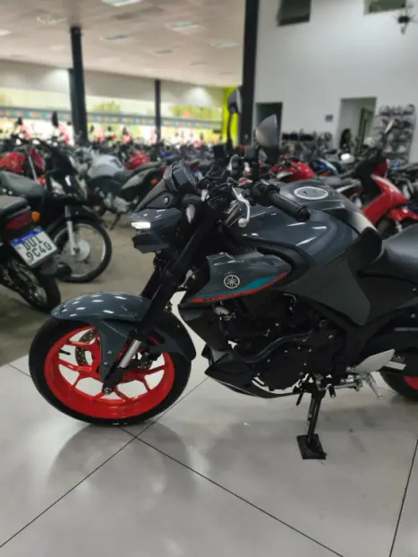 YAMAHA MT-03 300 ABS, Foto 7