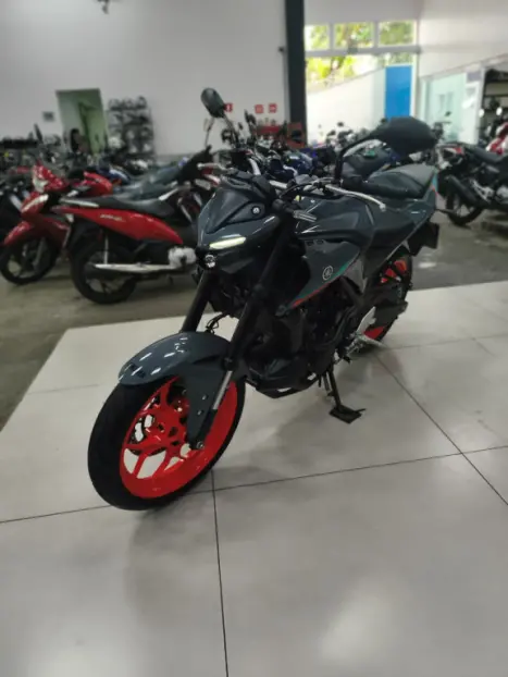 YAMAHA MT-03 300 ABS, Foto 9