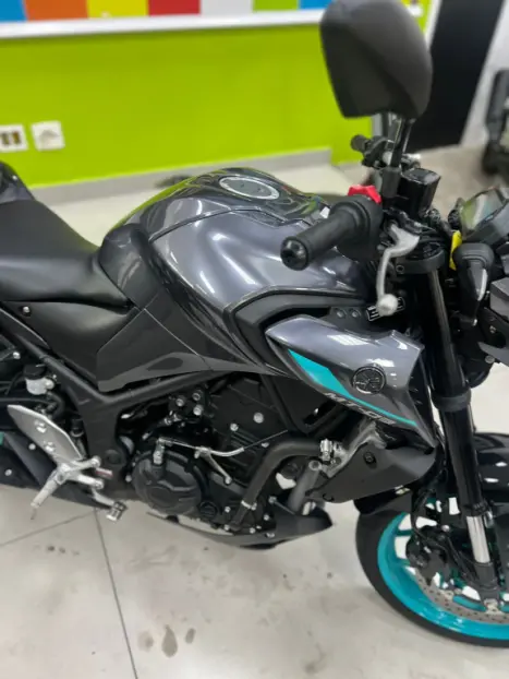 YAMAHA MT-03 300 ABS, Foto 6