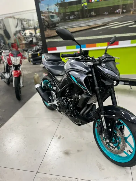 YAMAHA MT-03 300 ABS, Foto 13