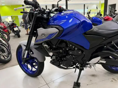 YAMAHA MT-03 300 ABS, Foto 10