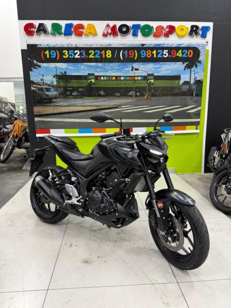 YAMAHA MT-03 300 ABS, Foto 1
