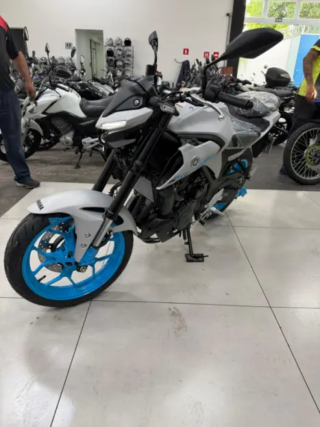 YAMAHA MT-03 300 ABS, Foto 7
