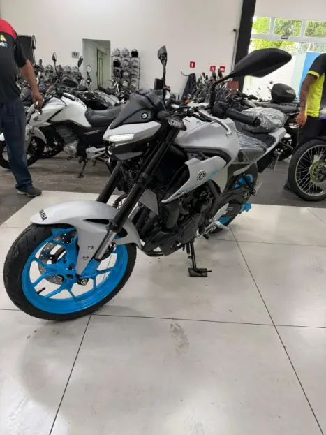 YAMAHA MT-03 300 ABS, Foto 14
