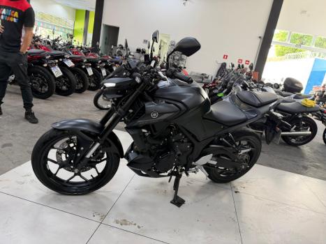 YAMAHA MT-03 300 ABS, Foto 21