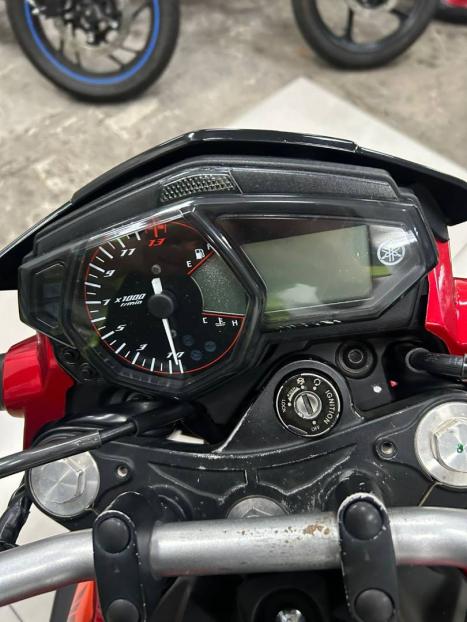 YAMAHA MT-03 300 ABS, Foto 3