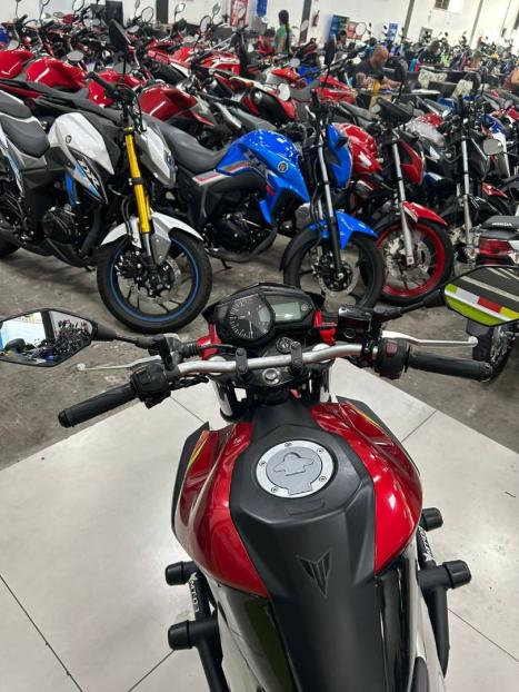 YAMAHA MT-03 300 ABS, Foto 4