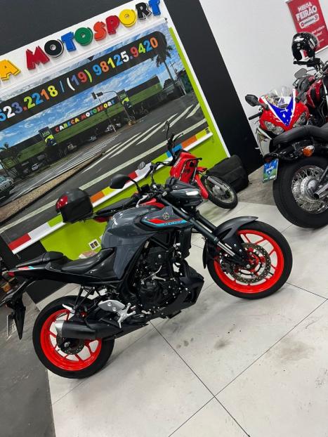YAMAHA MT-03 300 ABS, Foto 1