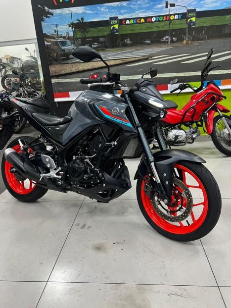 YAMAHA MT-03 300 ABS, Foto 2