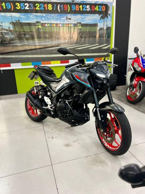 YAMAHA MT-03 300 ABS, Foto 1