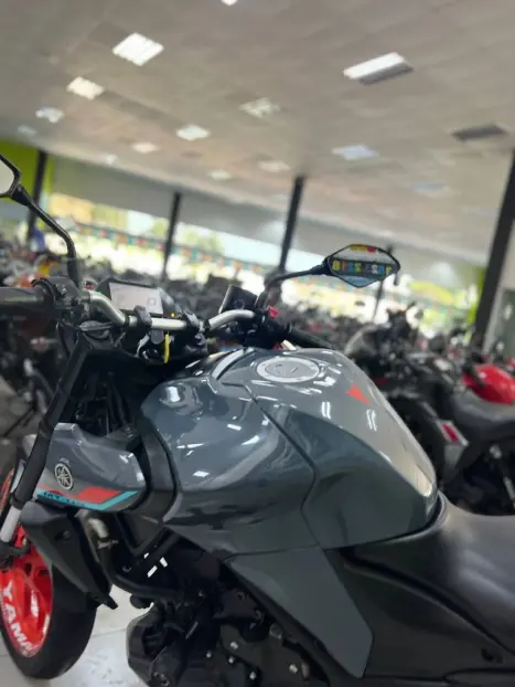 YAMAHA MT-03 300 ABS, Foto 10