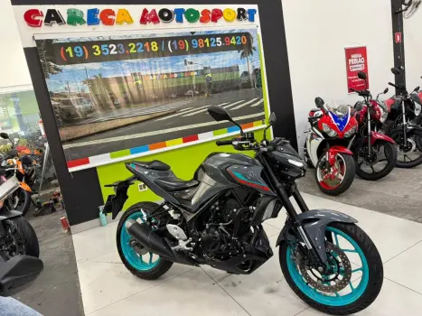 YAMAHA MT-03 300 ABS, Foto 2