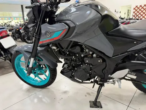 YAMAHA MT-03 300 ABS, Foto 6