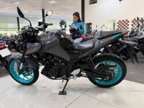 YAMAHA MT-03 300 ABS, Foto 13