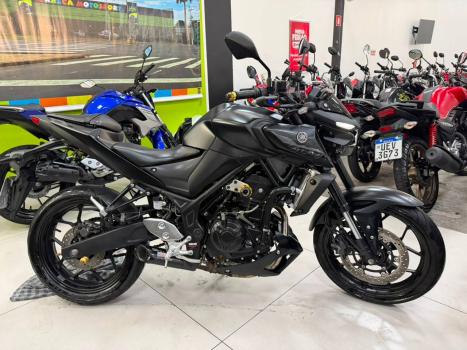 YAMAHA MT-03 300 ABS, Foto 1
