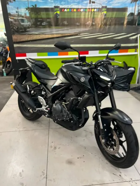 YAMAHA MT-03 300 ABS, Foto 2
