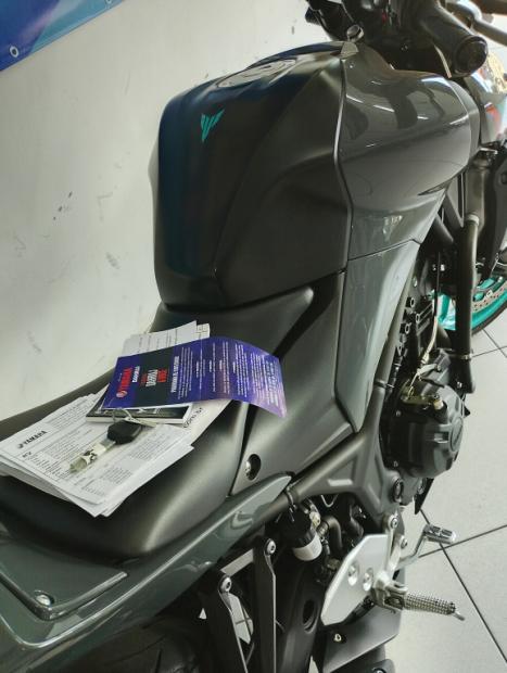 YAMAHA MT-03 300 ABS, Foto 5