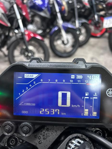 YAMAHA MT-03 300 ABS, Foto 6